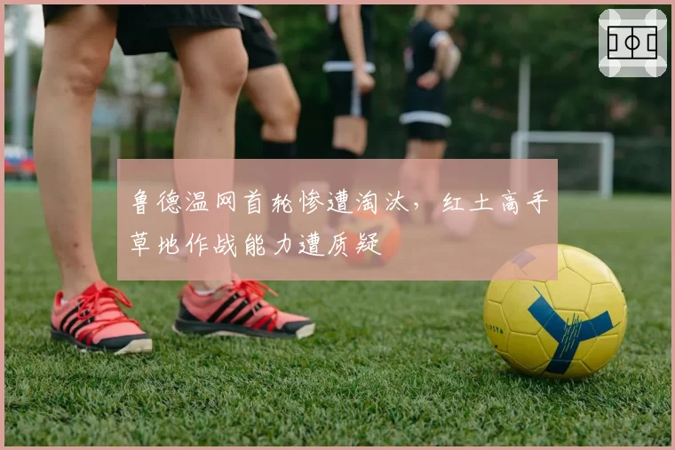 鲁德温网首轮惨遭淘汰,红土高手草地作战能力遭质疑