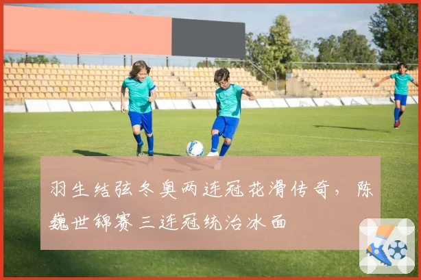 羽生结弦冬奥两连冠花滑传奇,陈巍世锦赛三连冠统治冰面